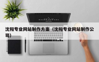 河北沈阳专业网站制作方案（沈阳专业网站制作公司）